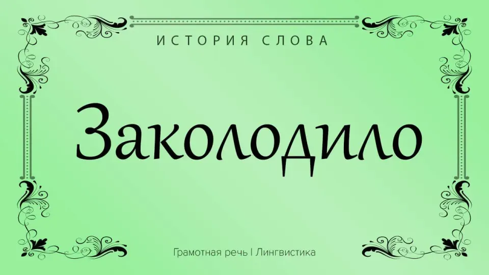 Фото из поста