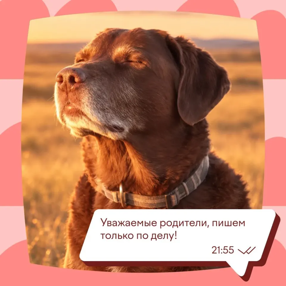Фото из поста