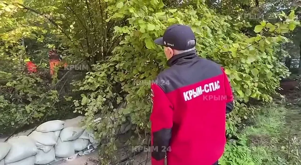 Обложка видео
