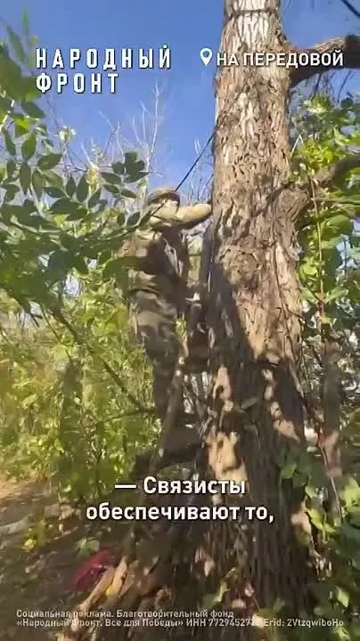 Обложка видео