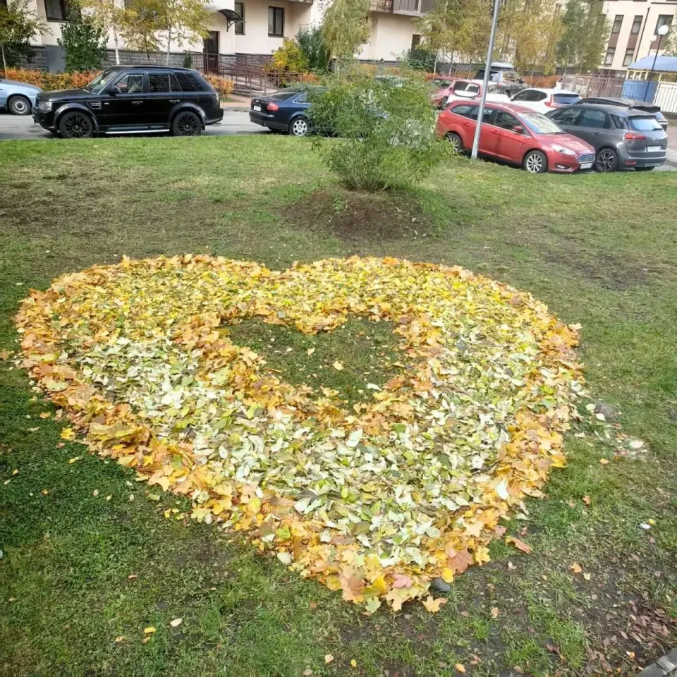Фото из поста