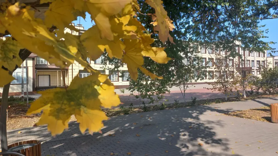 Фото из поста