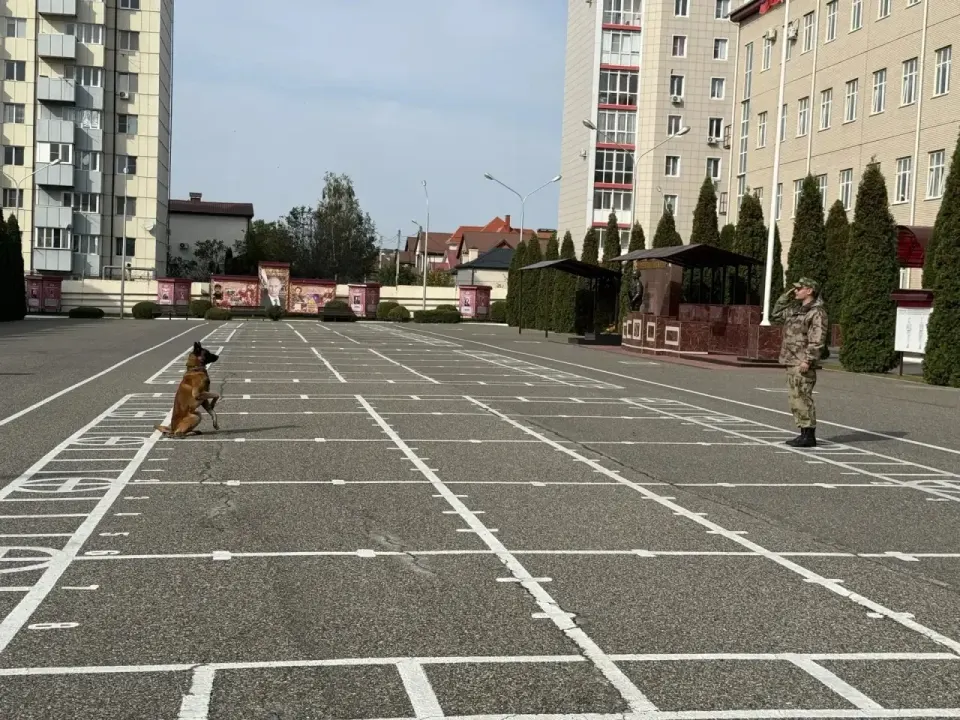 Фото из поста