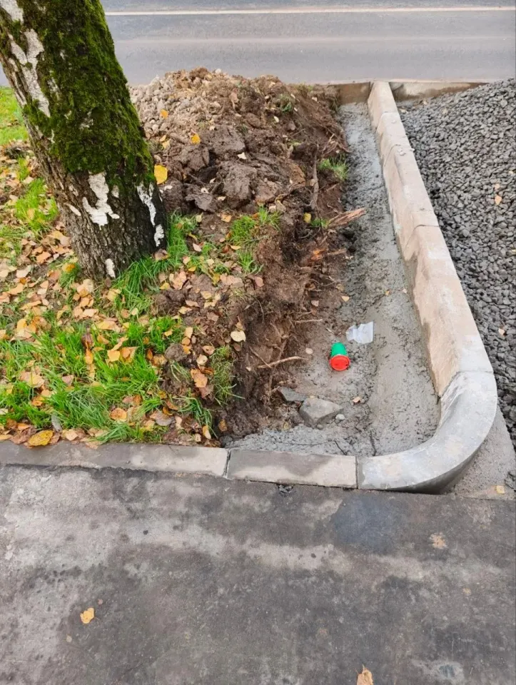 Фото из поста