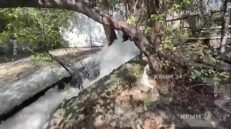 Обложка видео