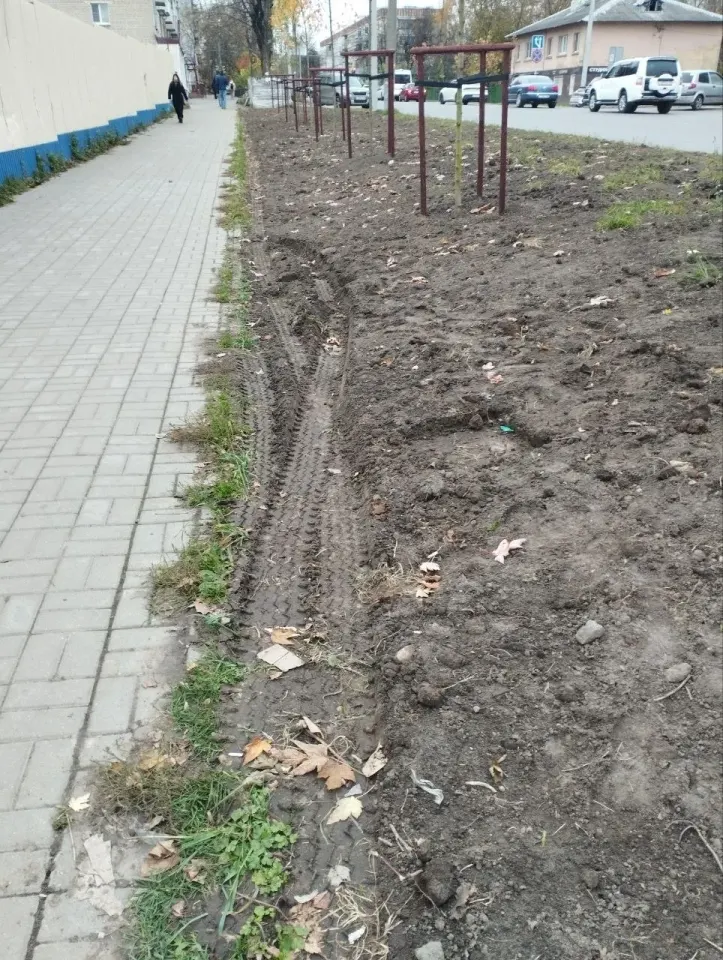 Фото из поста