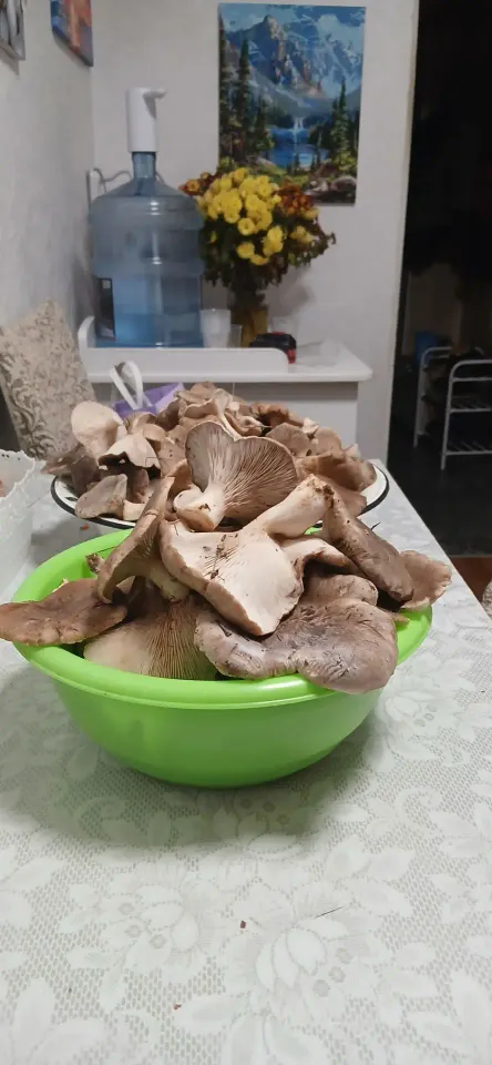 Фото из поста