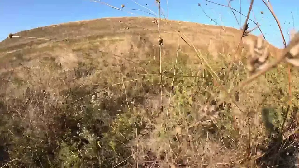 Обложка видео
