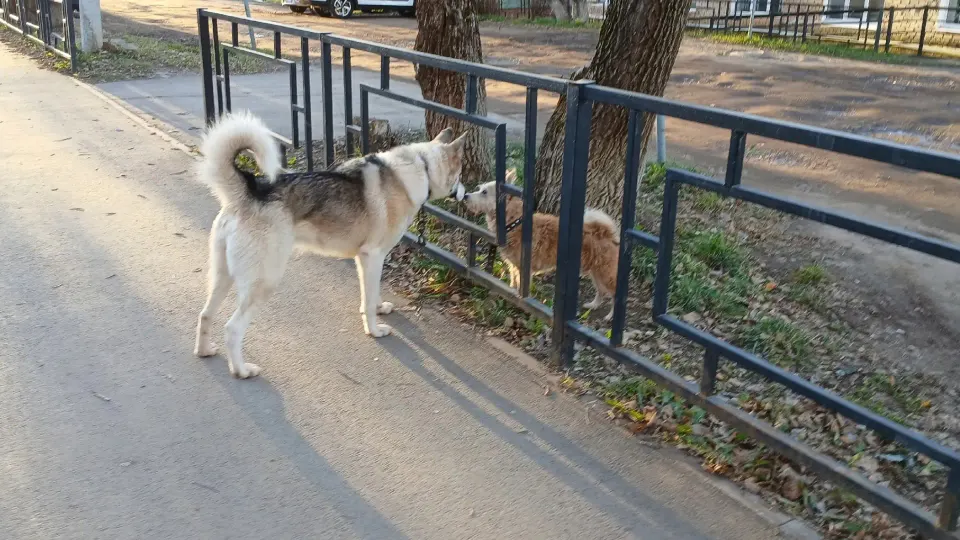 Фото из поста