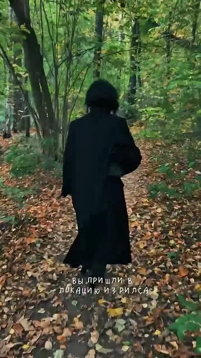 Обложка видео