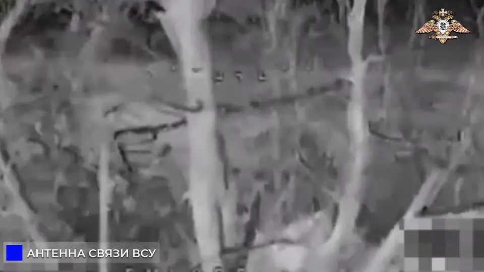 Обложка видео