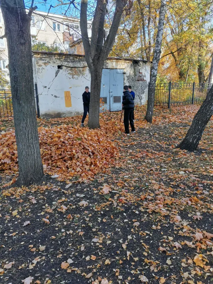Фото из поста