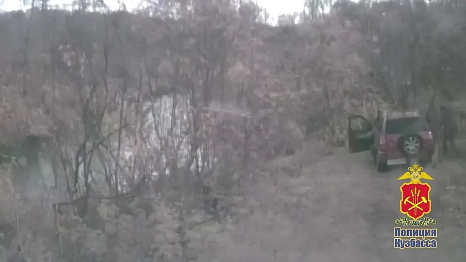 Обложка видео