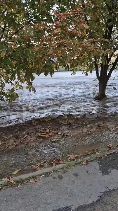 Обложка видео