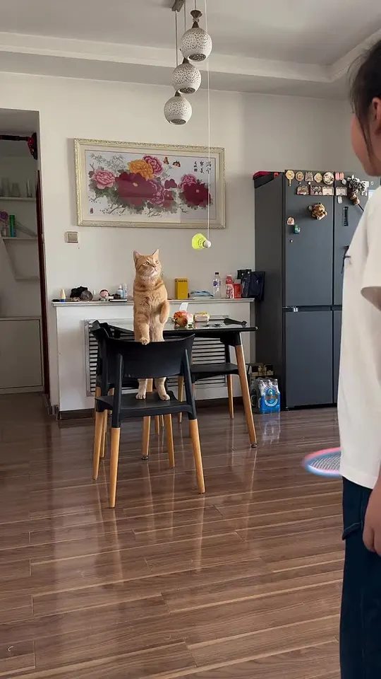 Обложка видео