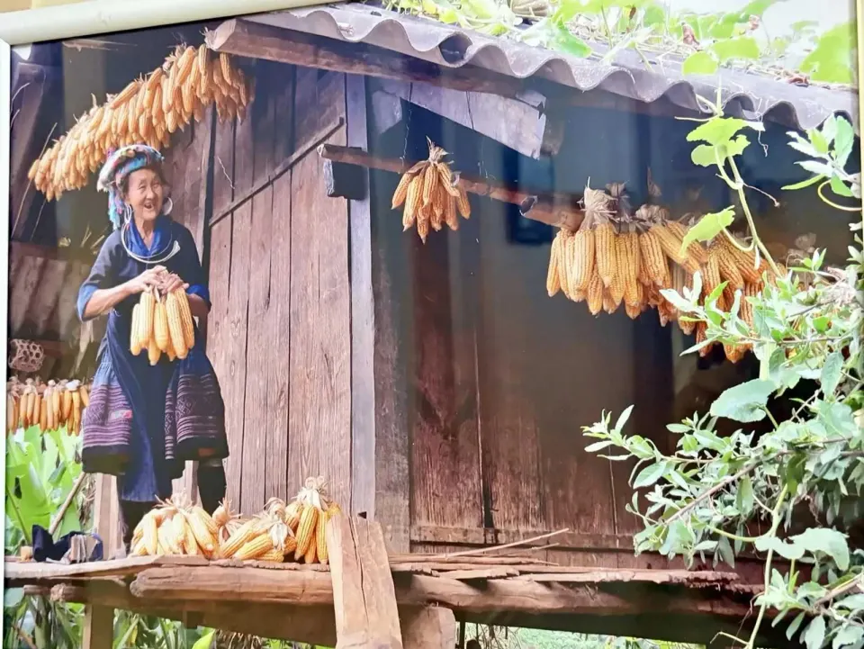 Фото из поста