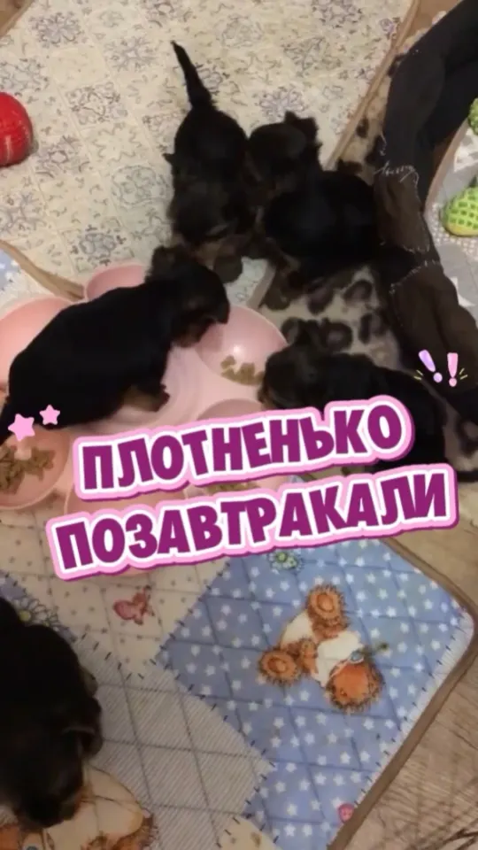 Фото из поста