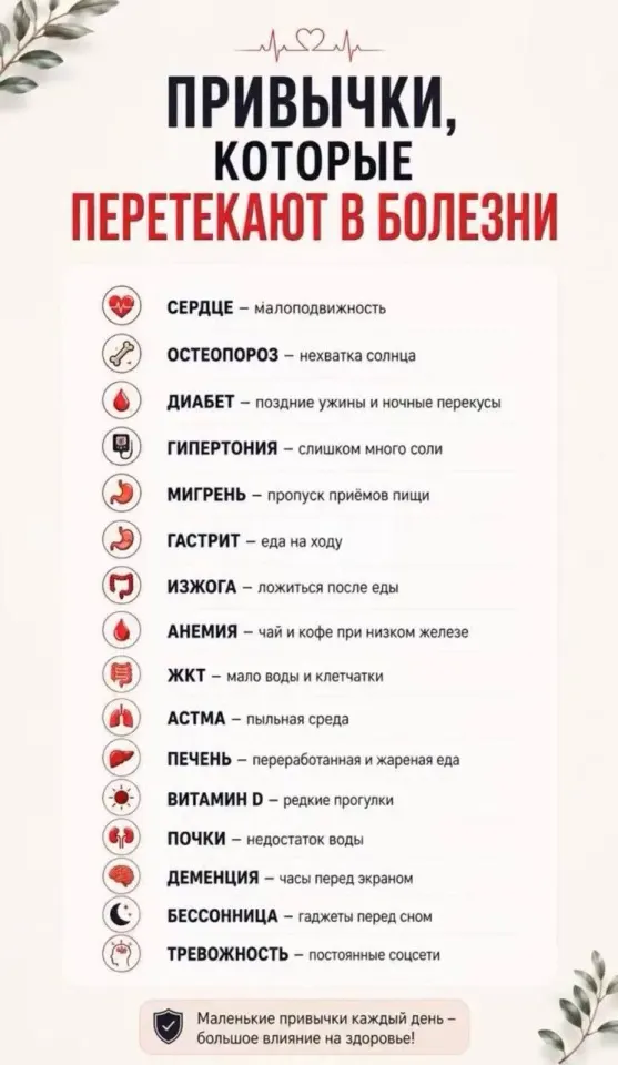 Фото из поста