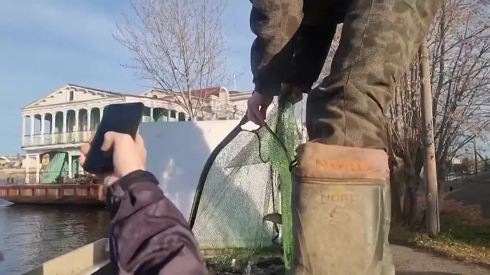Обложка видео