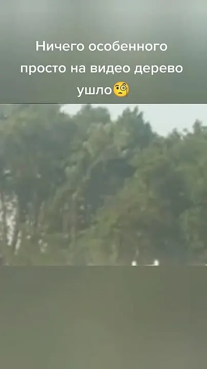 Обложка видео