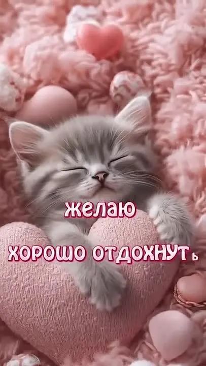 Обложка видео