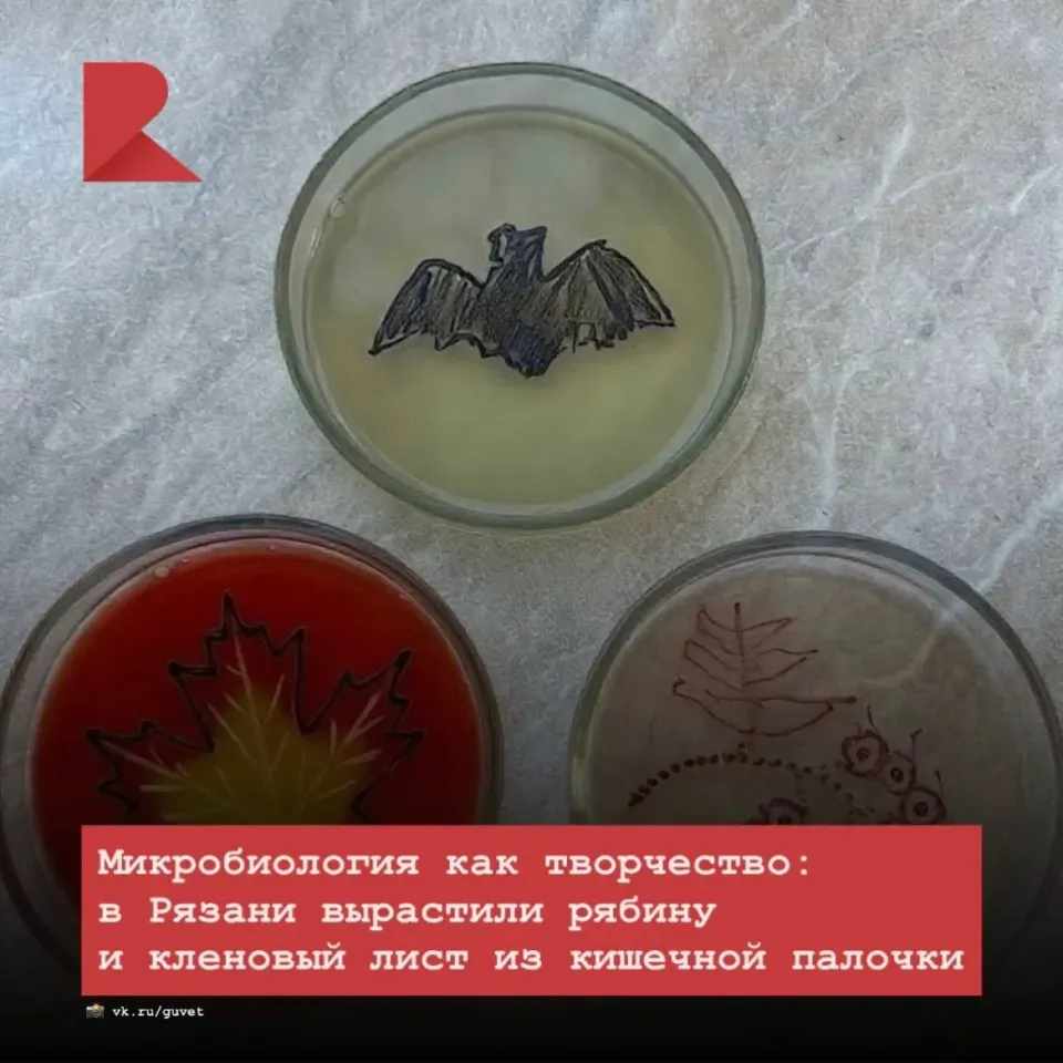 Фото из поста