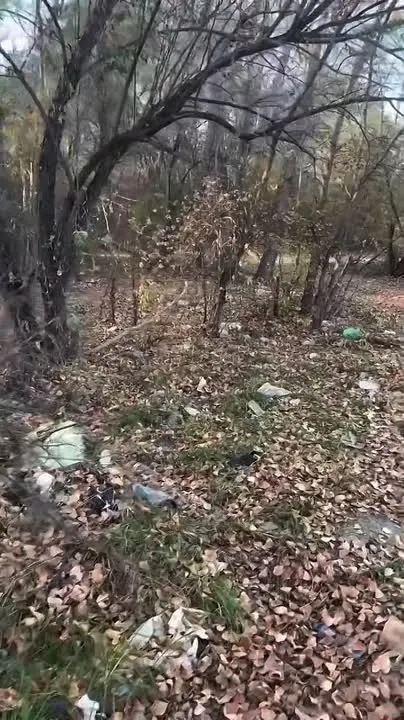 Обложка видео