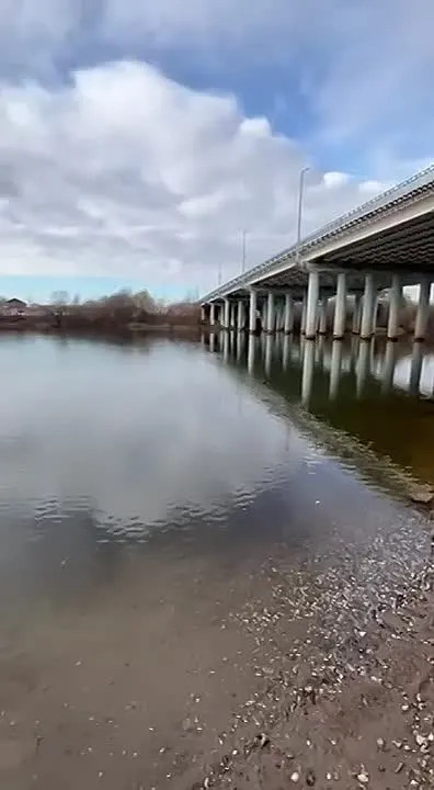Обложка видео