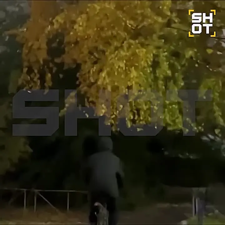 Обложка видео