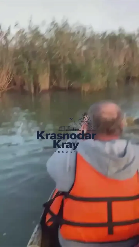 Обложка видео