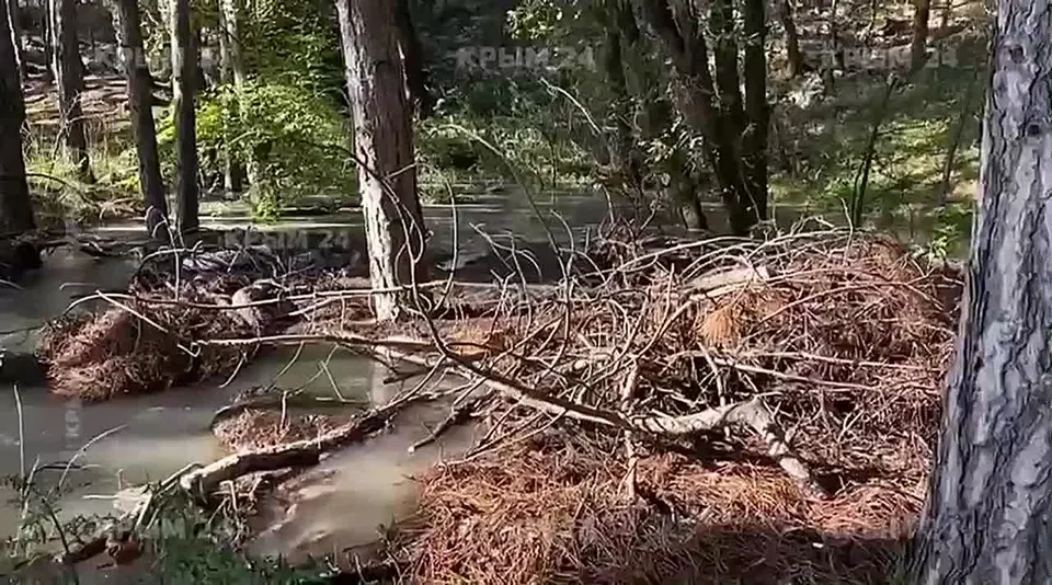 Обложка видео