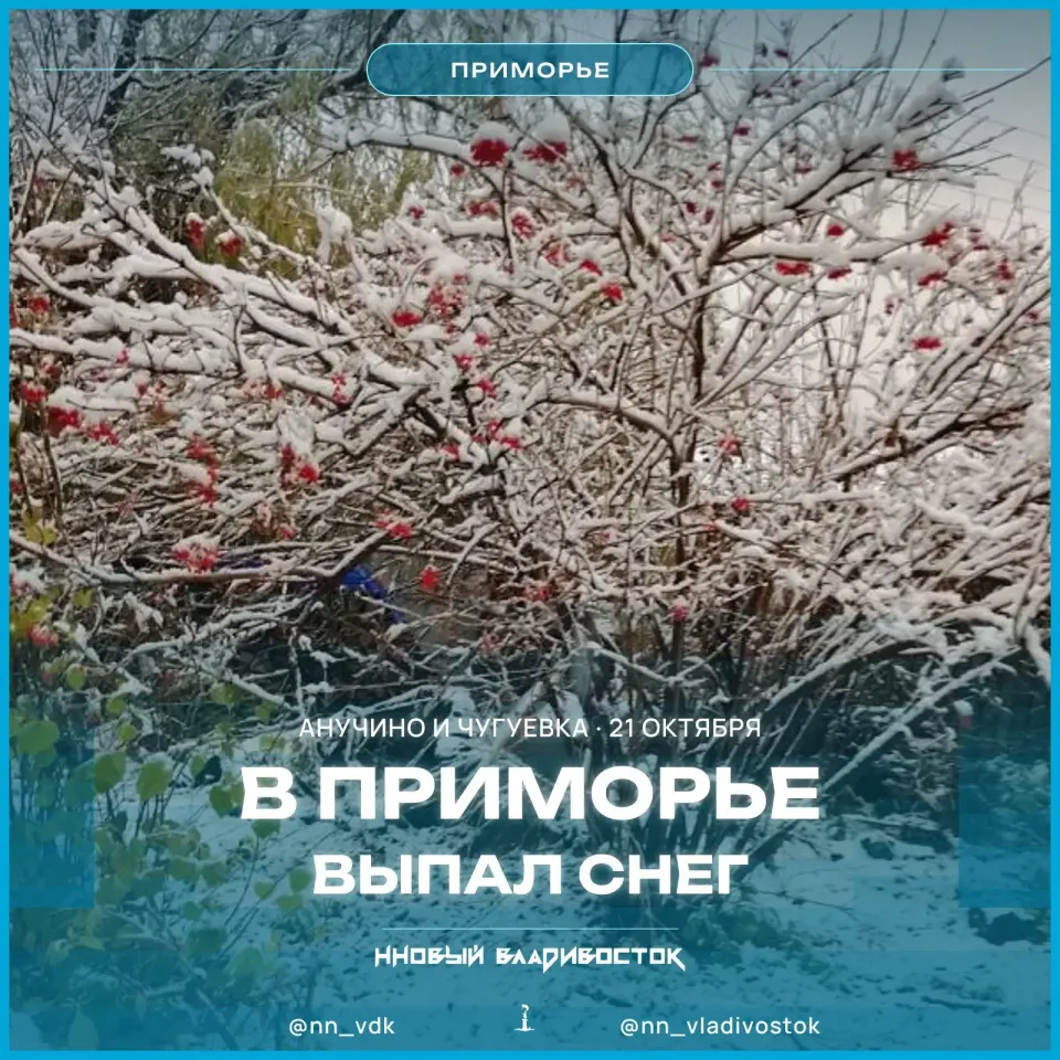 Фото из поста