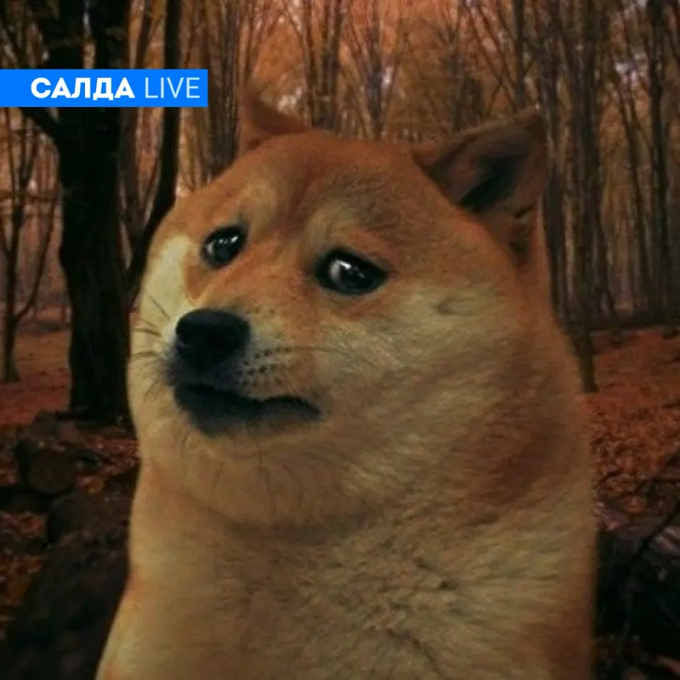 Фото из поста