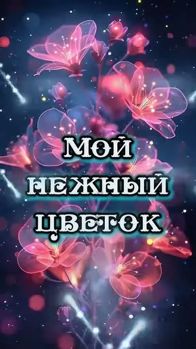 Обложка видео