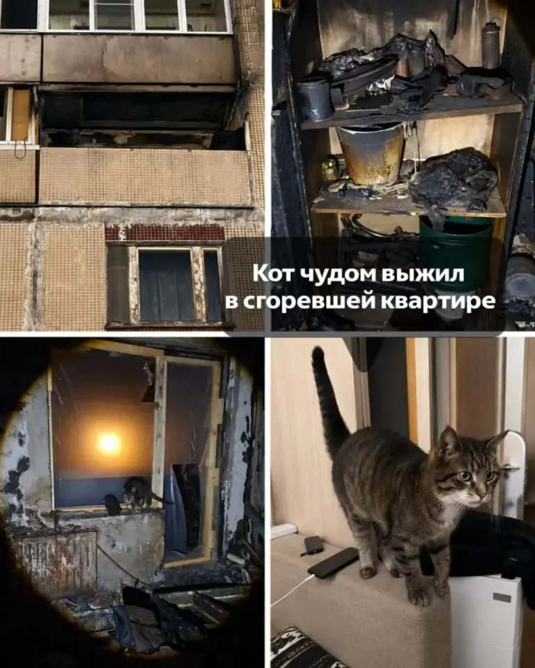 Фото из поста