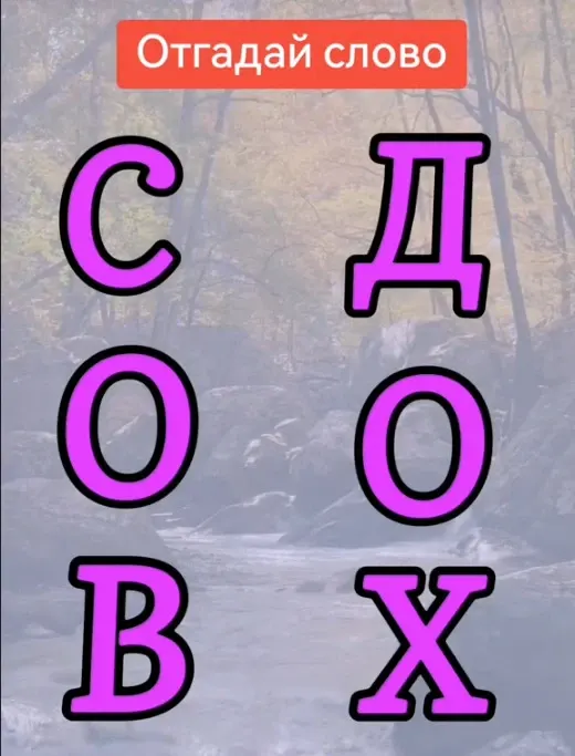 Фото из поста