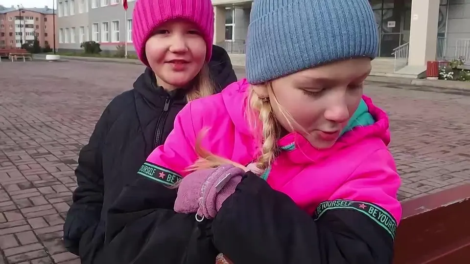 Обложка видео