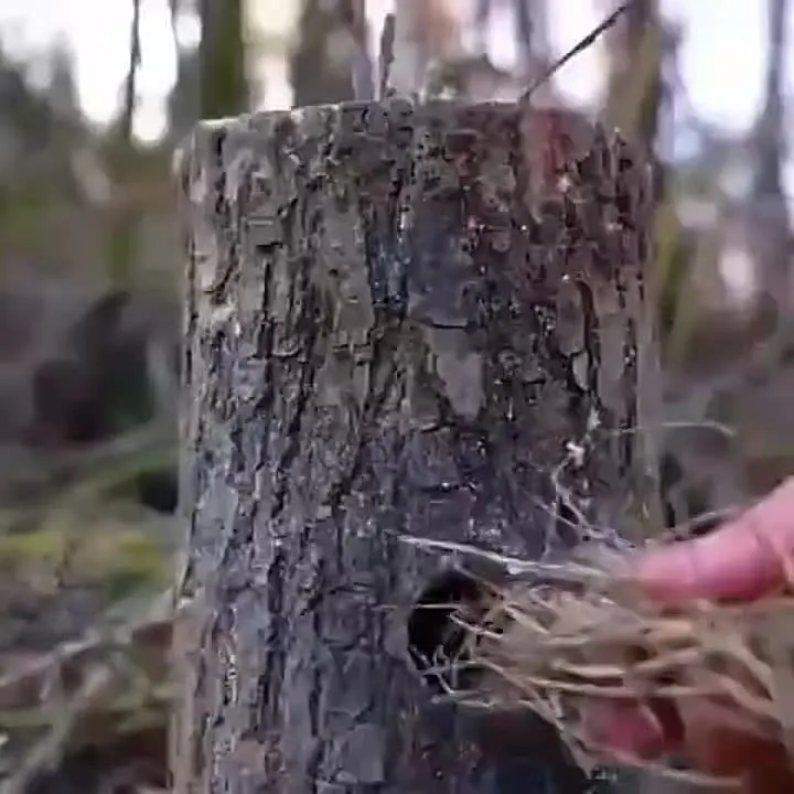 Обложка видео