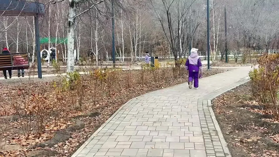 Обложка видео