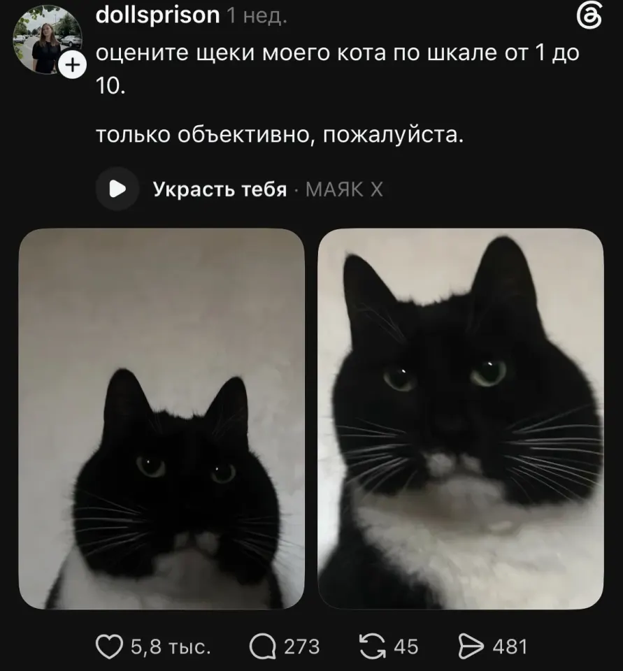 Фото из поста