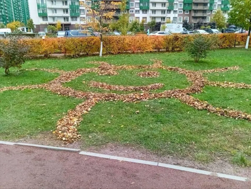 Фото из поста