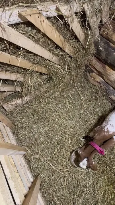 Обложка видео