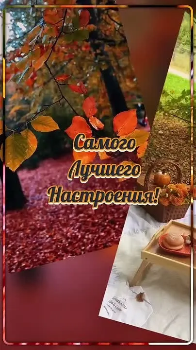 Обложка видео