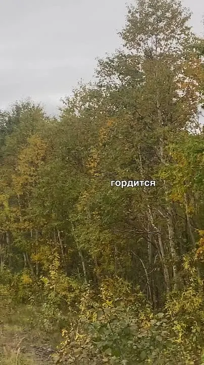 Обложка видео