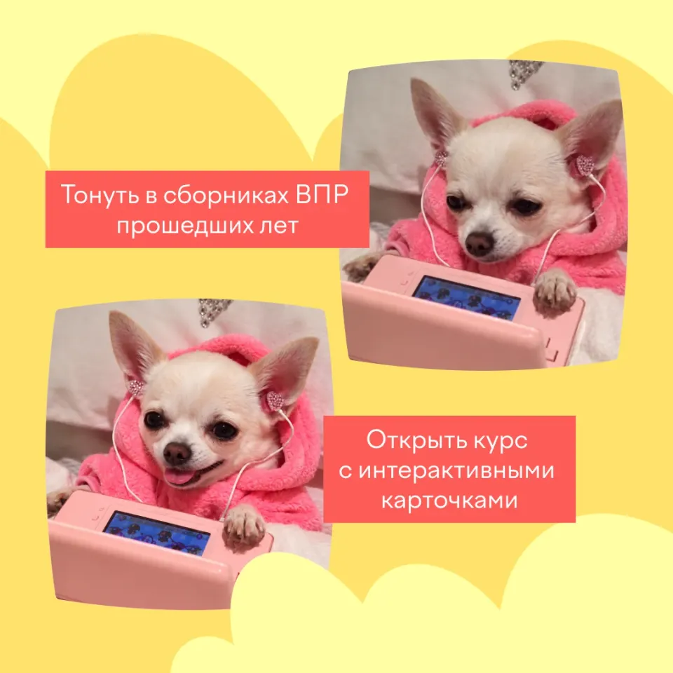 Фото из поста