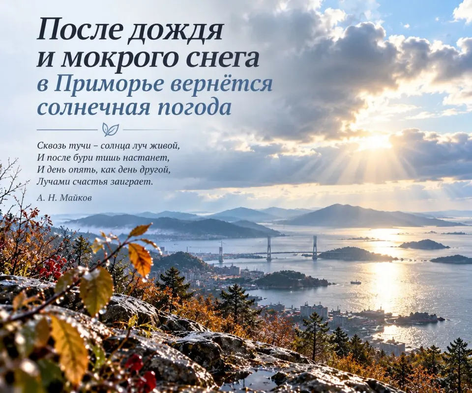 Фото из поста