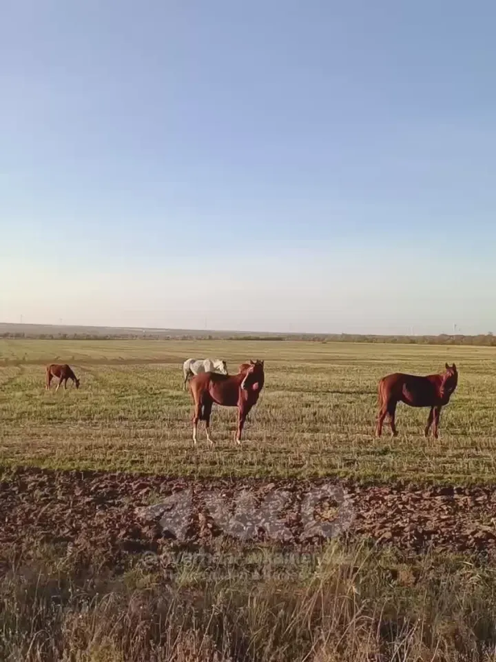 Обложка видео