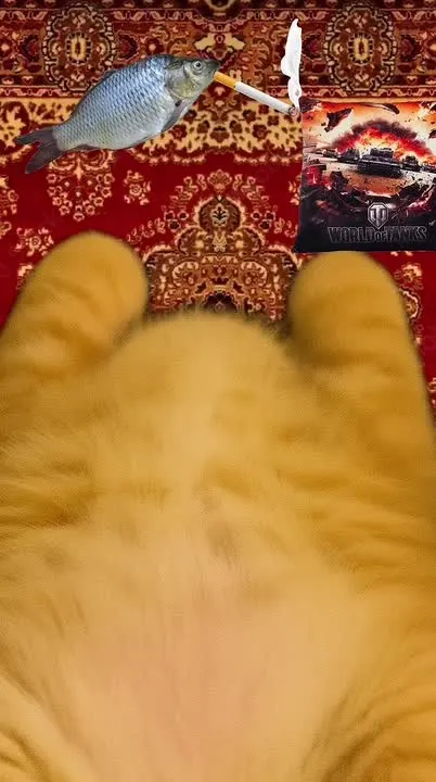 Обложка видео