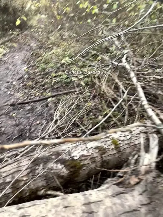 Обложка видео