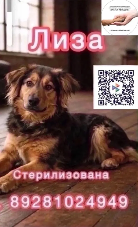 Фото из поста